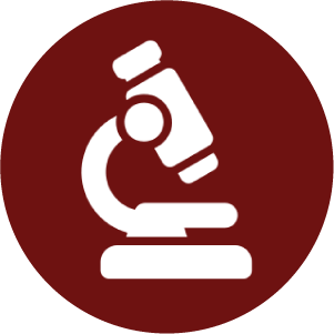 1744781881_Icon 24.png